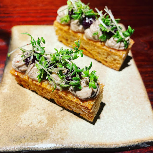 Comments and reviews of Human