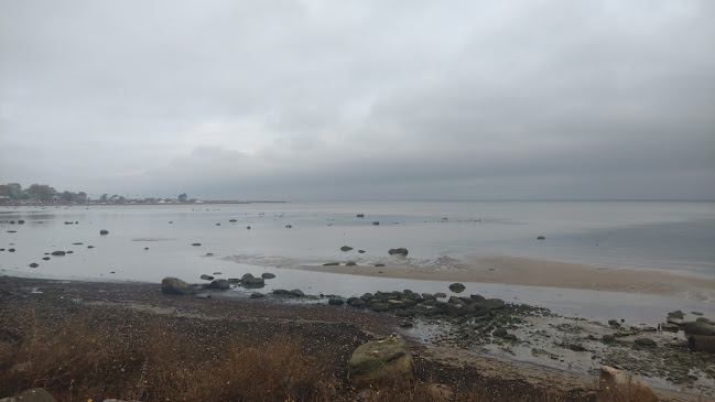 Lyckantorget i Båstad - Gastronomi och hotellverksamhet