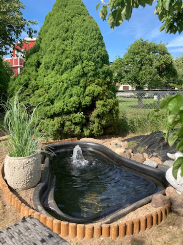 Comentarii opinii despre Krikors Pizza & Kebab