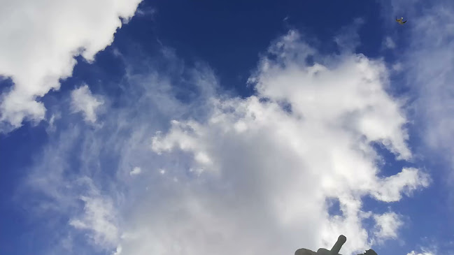 Opinii despre Bågis în Stockholm - Gastronomi och hotellverksamhet