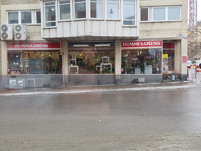 Hummelgrens Blomsterhandel - Blommor Norrköping