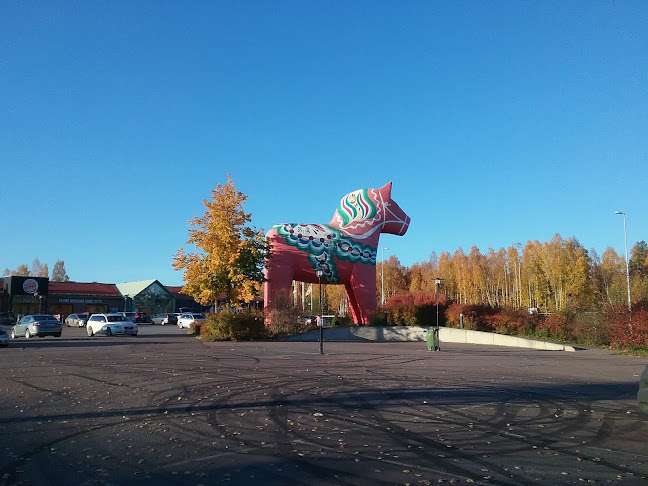 Masgrillen Open Times