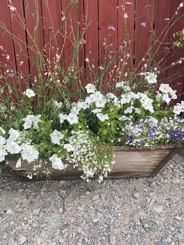 Comentarii opinii despre Blomsterlycka Gård