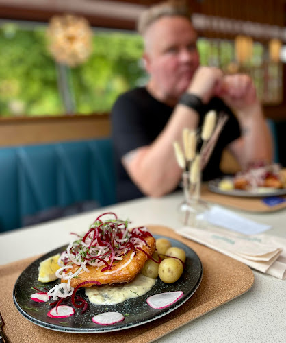 Comentarii opinii despre Vigårda