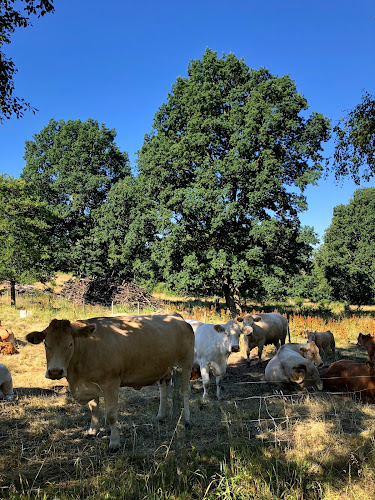 Äppledalen Kaxholmen - Huskvarna