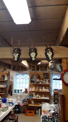 Comentarii opinii despre Lions Loppis