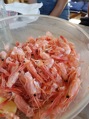 Comentarii opinii despre The COD