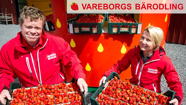 Vareborgs Bärodling AB - Varberg
