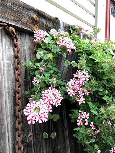 Snitths Hantverksbageri - Gastronomi och hotellverksamhet