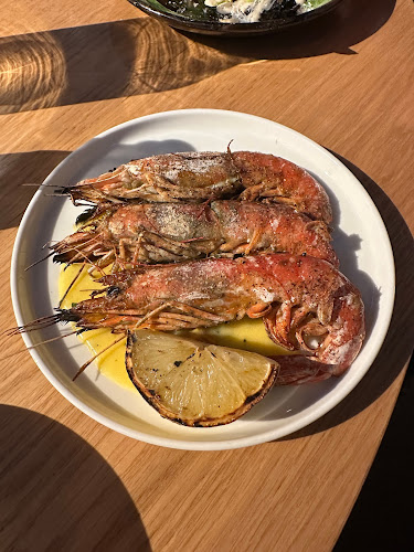 Comentarii opinii despre BARBARA