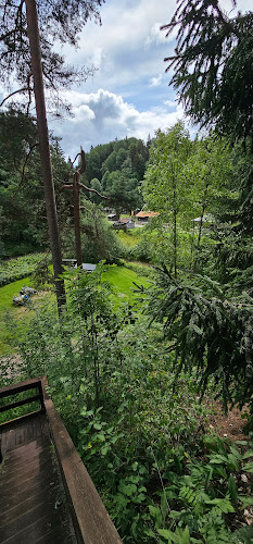 Fäboden i Säterdalen - Gastronomi och hotellverksamhet