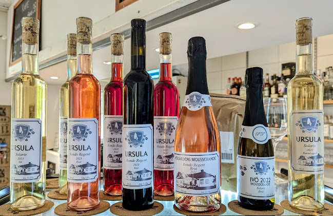 Comments and reviews of Ivögården Mat & Vingård