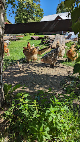 Ormesta 505, 705 95 Örebro