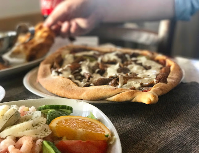 Hosjö Pizzeria - Gastronomi och hotellverksamhet