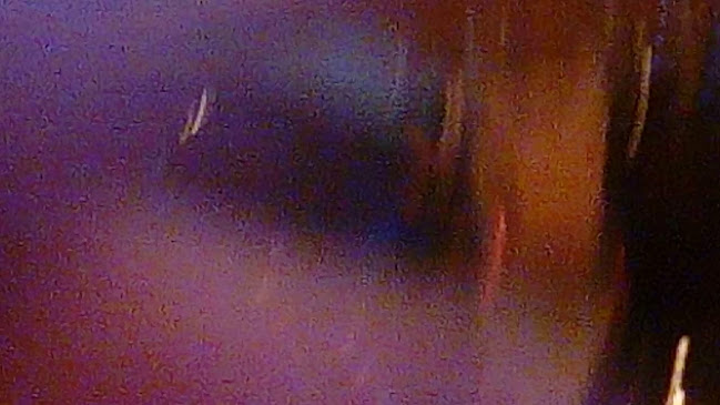 Opinii despre Sejdeln în Göteborg - Gastronomi och hotellverksamhet