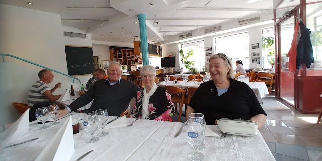 Villa Fridhem Restaurang Open Times