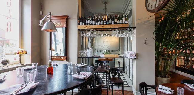 Comentarii opinii despre Bodegan