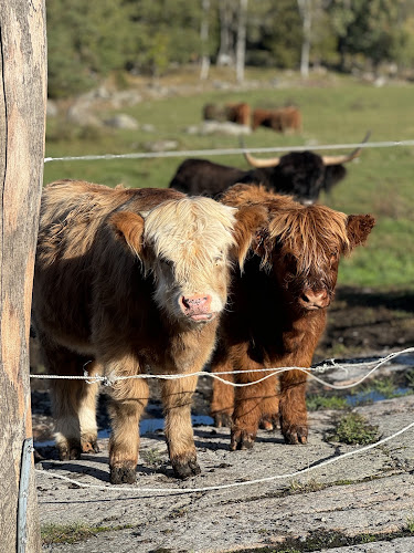 Stubboda 231, 761 97 Norrtälje
