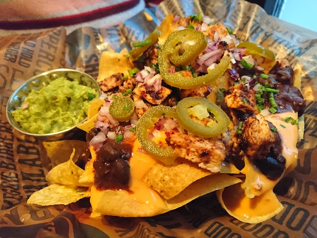 Texas Longhorn - Östersund