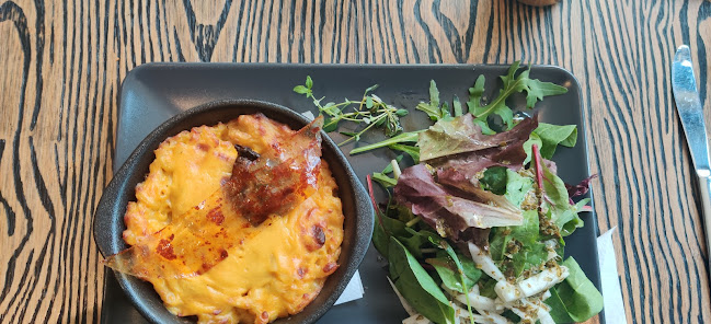 Blackbird - Göteborg