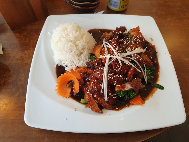 Shison Sushi - Gastronomi och hotellverksamhet