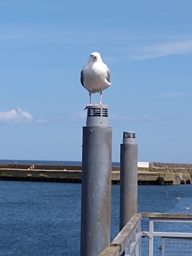 Comentarii opinii despre Simrishamns Grill Och GlassKiosk