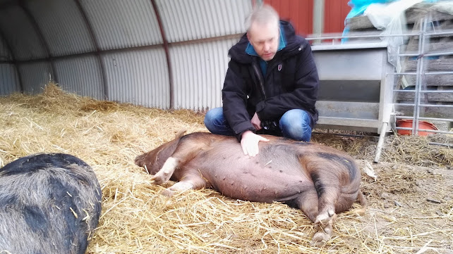 Jannelunds Gård - Gastronomi och hotellverksamhet
