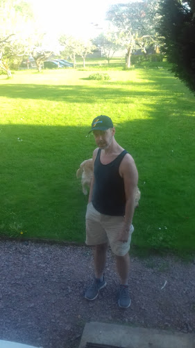 Hela Människan/Ria i Falköping - Gastronomi och hotellverksamhet