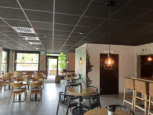 Comentarii opinii despre Smokey Dog