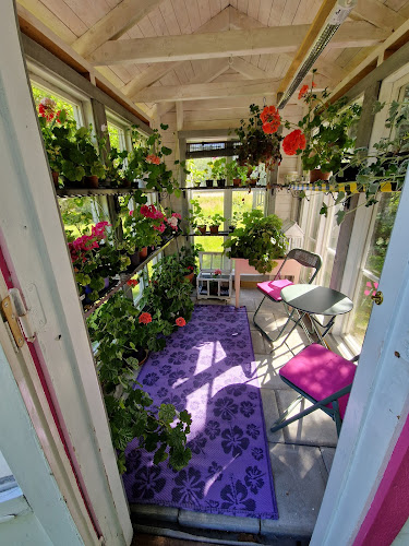 Reviews of Honungscaféet in Härnösand - Gastronomi och hotellverksamhet