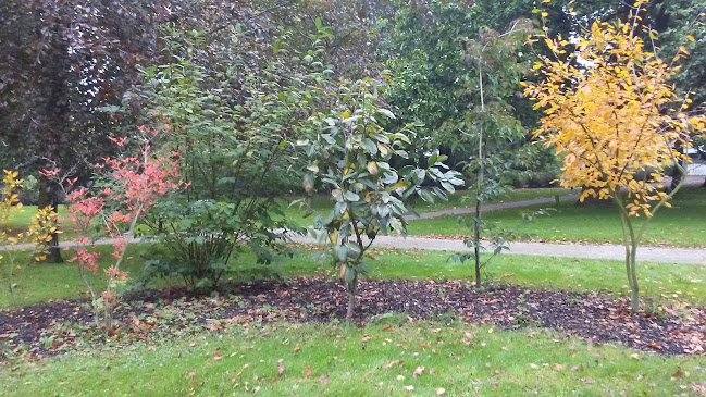 NP BISTRO - Gastronomi och hotellverksamhet