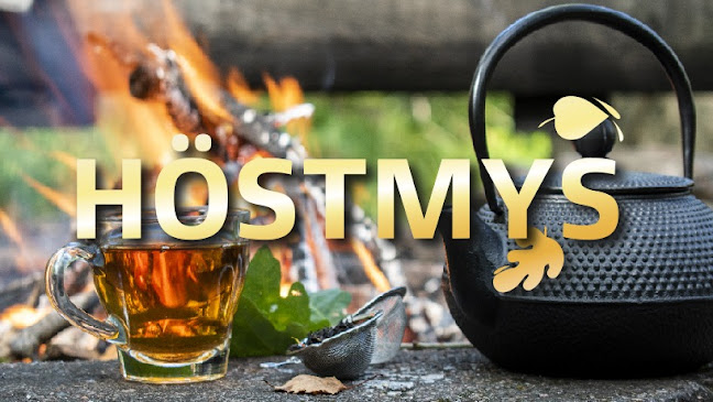 Kupolen, 781 70 Borlänge