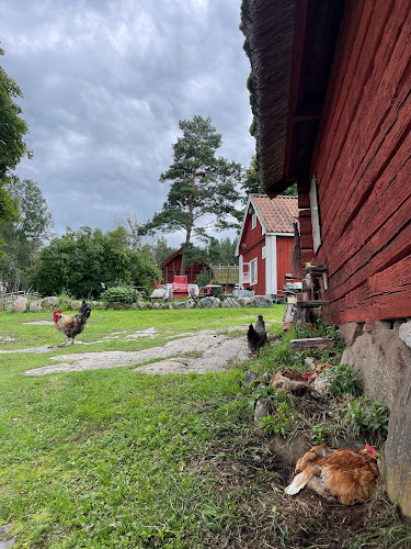 Opinii despre Pelle och Maries kafé i Viby în Sigtuna - Gastronomi och hotellverksamhet