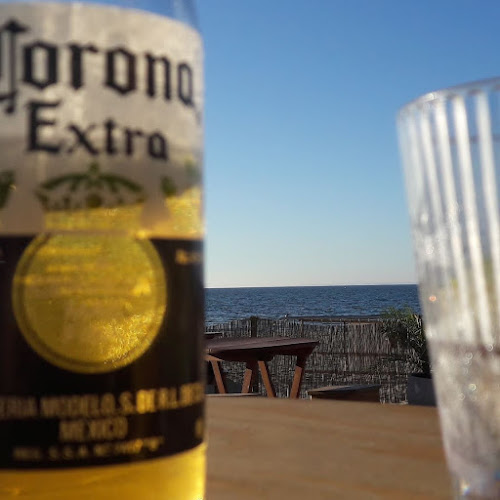 Comentarii opinii despre Papas