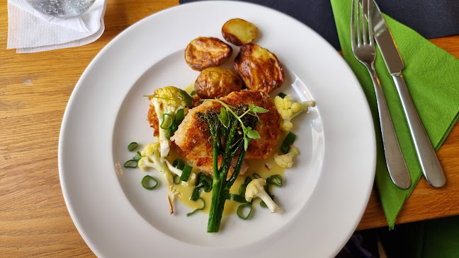 Comentarii opinii despre Haganäs