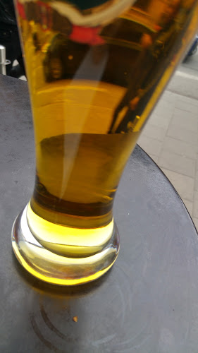 Laughing Duck - Gastronomi och hotellverksamhet