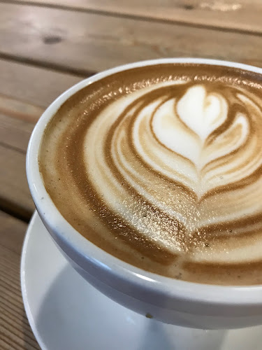 Comentarii opinii despre Favvo Glass