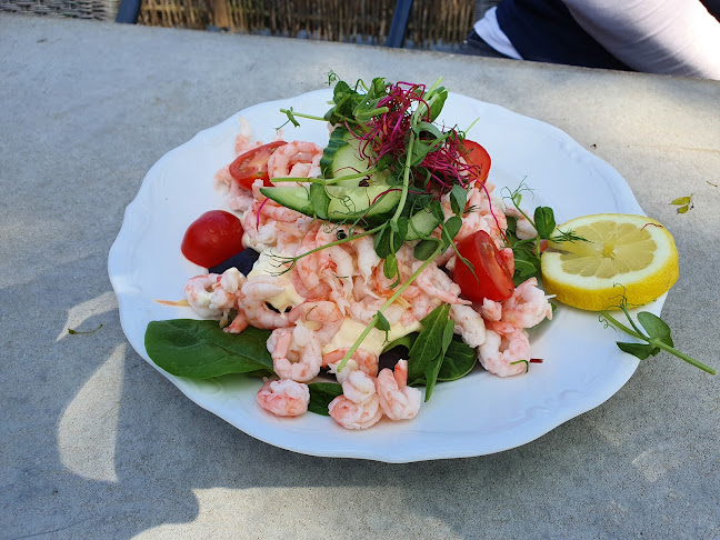 Comentarii opinii despre 1 KöK