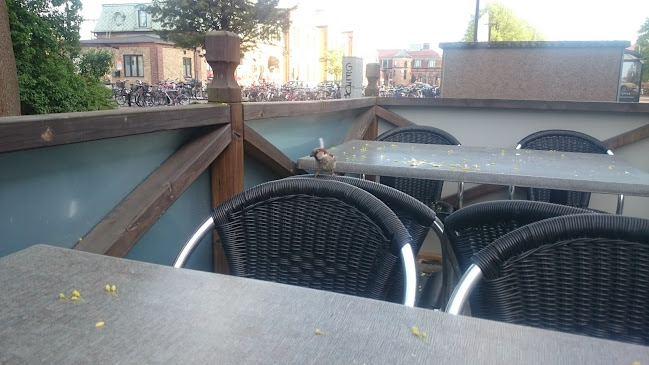 Comentarii opinii despre Centralgrillen