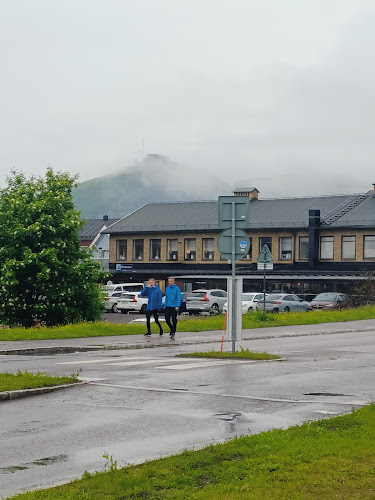 Comentarii opinii despre Arctic Thai & Grill