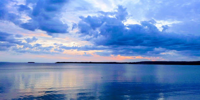 Restaurang Sjövik - Gastronomi och hotellverksamhet
