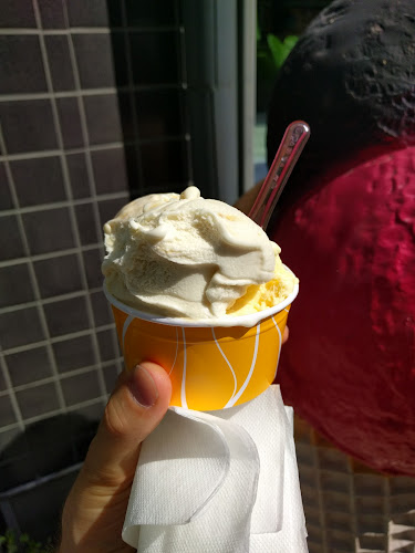 Allgotths Glassbar - Gastronomi och hotellverksamhet