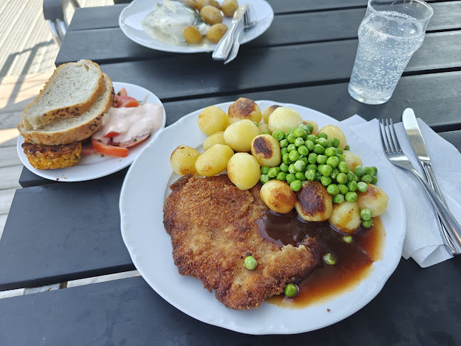 Comentarii opinii despre Gröna Hästen