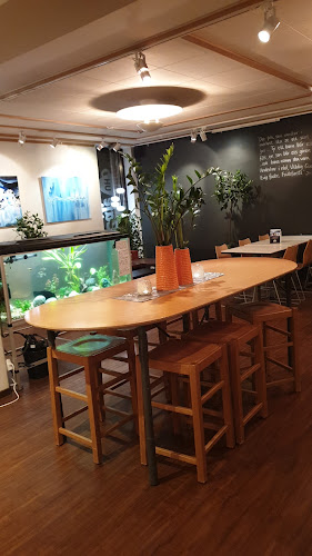 Café UH Phone number