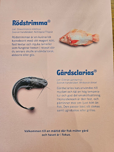 Restaurang Oxenstiernan, ROX - Gastronomi och hotellverksamhet