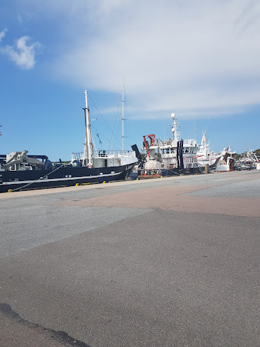 Comments and reviews of QuickFish food truck