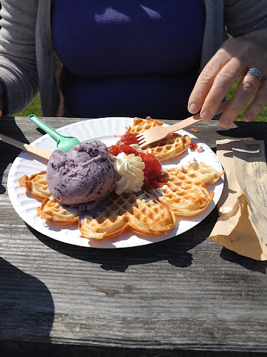 Fäboden i Säterdalen - Gastronomi och hotellverksamhet