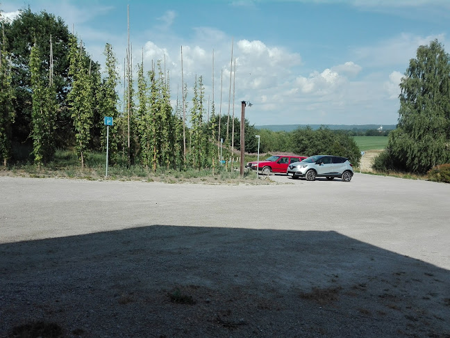 Humletorkan Open Times