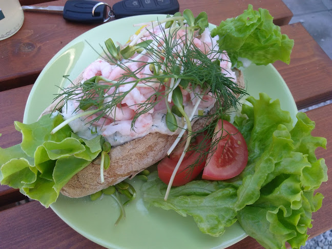 Glutenfria Paradiset Café och Butik I Stora Herrestad - Gastronomi och hotellverksamhet