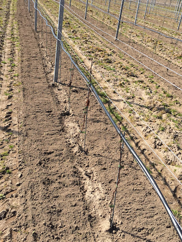 Silvhögsvägen 33, 277 36 Vitaby